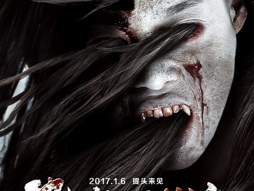 瓦萨学院计算机科学文凭证书